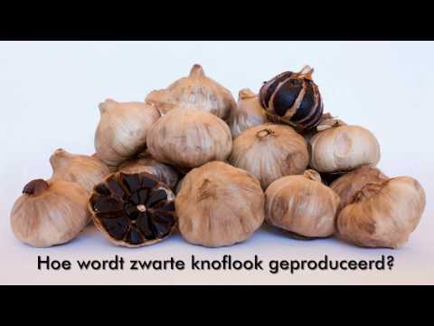 Video: Knoflook Zwart