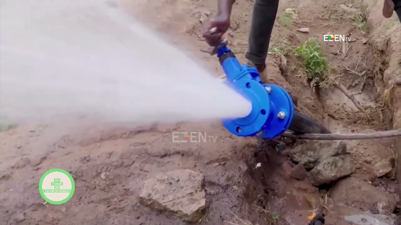 La pollution de l'eau : Ses impacts sur la qualité des aliments 💧