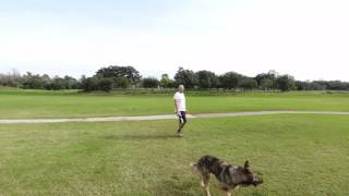 Houston Golf Course - 4K DJI Phantom 4 Footage