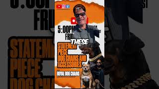 Tomorrow at 5 PM Pacific standard time tune in. We interviewing @royaldogchains to talk about