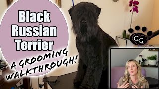 Grooming a Black Russian Terrier  A walkthrough of grooming a beautiful pet BRT  Gina's Grooming