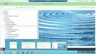SAP R/3 SECURITY - SU01,PFCG