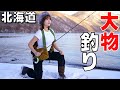 まさかのヒグマ遭遇!!冬の激流の中に潜むモンスタートラウトを狙う!|渓流釣り