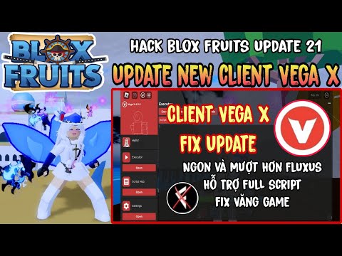 Cách Hack Blox Fruits Trên Điện Thoại Update Client Vega X Mới Nhất Fix Văng Hỗ Trợ Full Script...