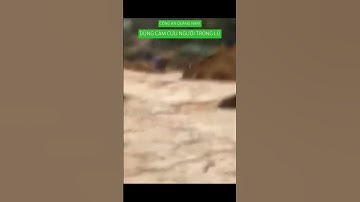 Công an Quảng Nam dũng cảm cứu người trong lũ #shortvideo #shortsvideo ,#shortsfeed #shorts #short