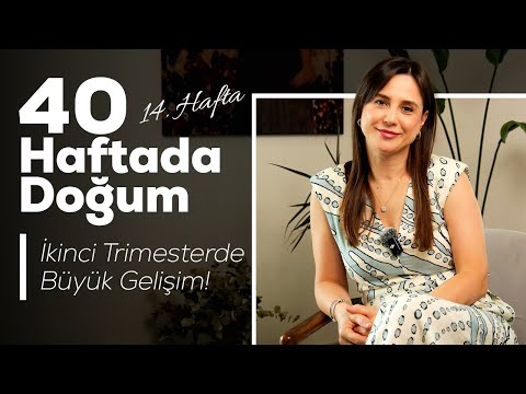 Hamileliğin 14. haftası — video