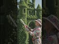 🏰 The Fairy Castle Topiary Hack! 🌿✨