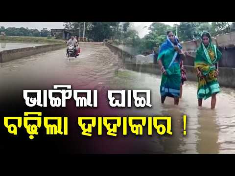 Odisha Flood Crisis: River Breaches In Bhadrak & Jajpur, Heavy Rain Alert On Aug 13 | Argus News