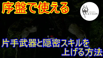 تحميل スカイリム スキル上げ