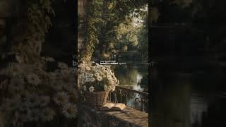 Download Lagu Yang \ MP3