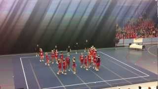 Dynamite Dolphins DM 2013