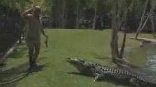 News when Steve Irwin saved an employee from death Wealth