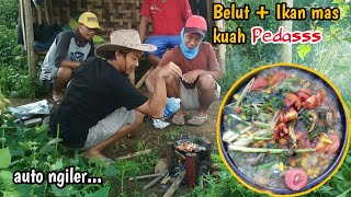 Masak belut dan ikan hasil tangkapan di pesawahan || survival