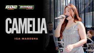 CAMELIA || GDC - BARANGKAL TEAM || LIVE SEMBUNGRUGUL