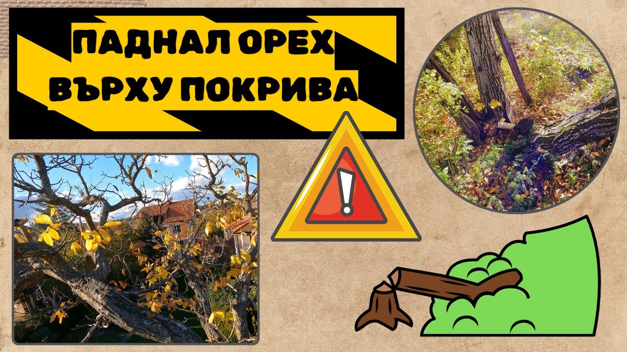 ГОЛЯМА БЕЛЯ! :О падна върху покрива :О :(