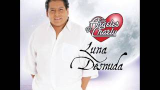 Los Angeles de Charly - Todo Mi Corazon