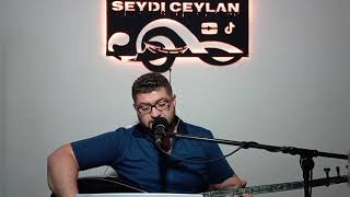 Gamzedeyim Deva Bulmam - Seydi Ceylan (Elektro Bağlama) Resimi