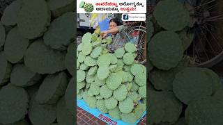 How to Grow Lotus from Lotus Seeds at Home - Must Watch This Shorts LotusSeedHarvesting