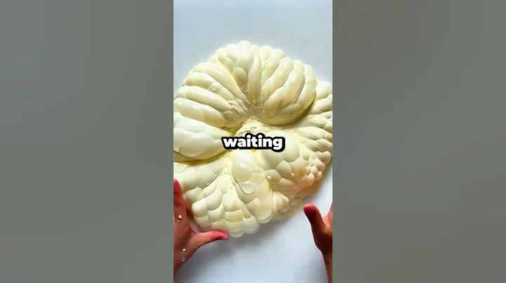 My husband's family asked me to skip the reunion cruise so his ex-wife could bring the kids, and...