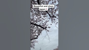 Thumbnail of Sakura #song #music #shortvideos #shorts #support #sujata #viralvideo