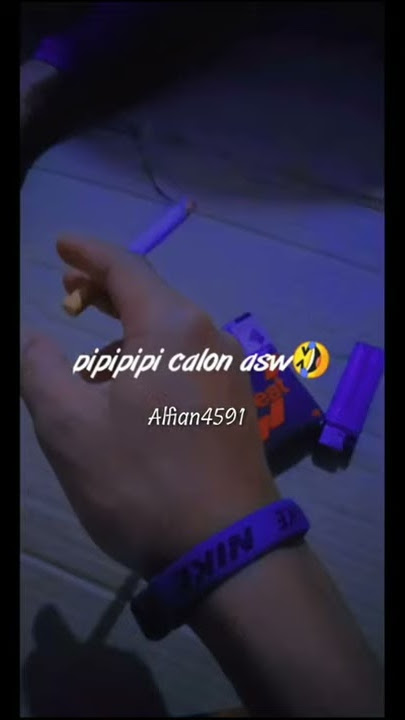 piPipipi calon asu
