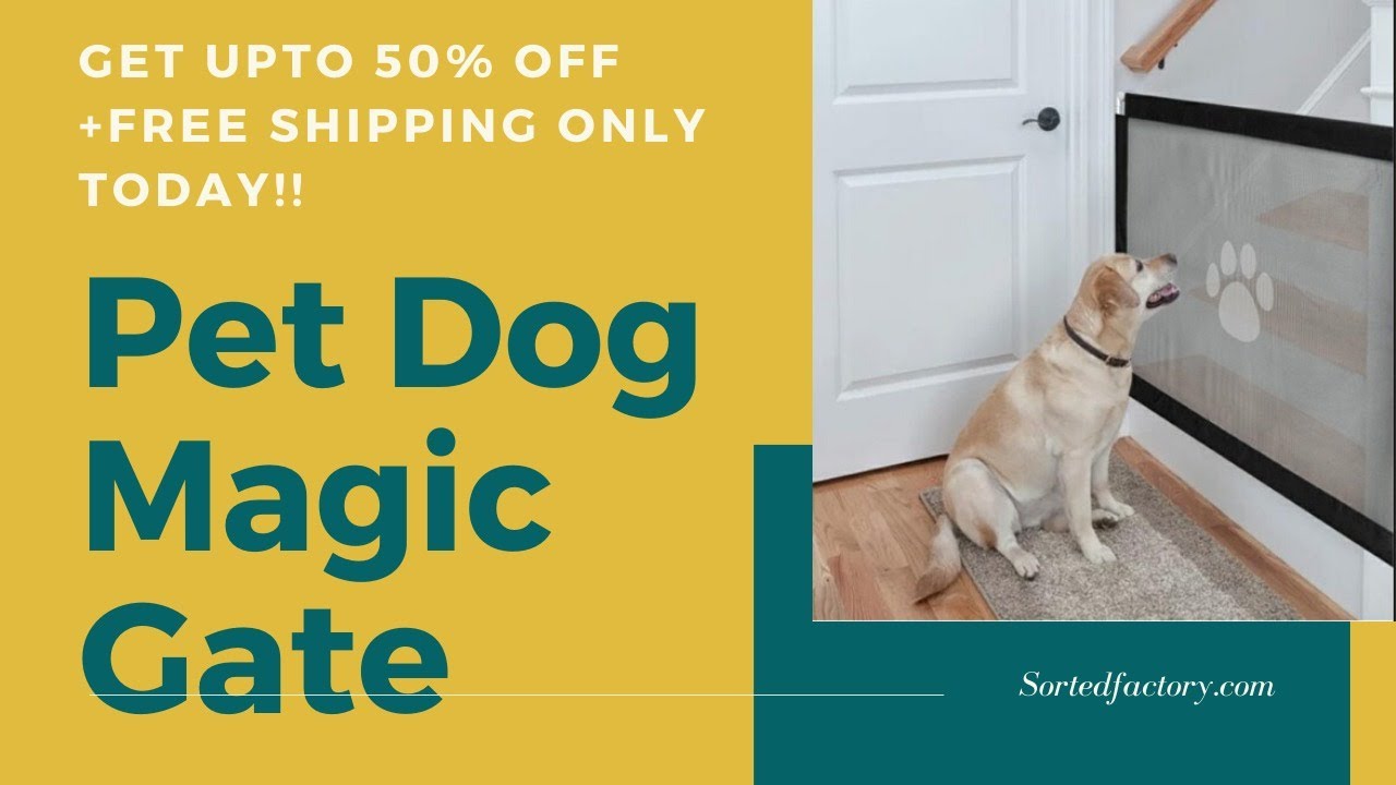 dog magic gate