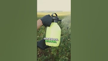 The Soil Microbiome Is The Secret To Health | Joel Salatin #farming #agriculture