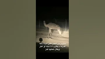 كاميرات تسجل تحول الجن لحيوان 