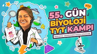 Tyt Kampi 55. Gün - Ekoloji̇ - Ekosi̇stemde Madde Döngüleri̇