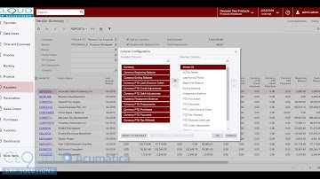 Acumatica - Accounts Payable Aging and Details