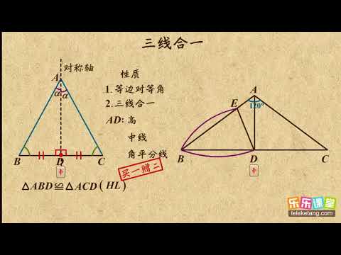03等腰三角形三线合一       三角形的证明    初中数学初二