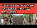 एकरी ऊस 120 टन,यांचा अनुभव खुप मोठा आहे.अशा प्रकारे करा नियोजन.  Sugarcane cultivation: