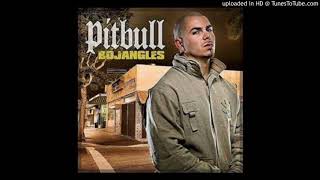 Pitbull_Lil_Jon_Ying_Yang_Twins_-_Bojangles (Instrumental)