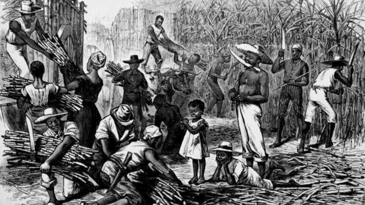 Рабство негров в америке в 19 веке. Ретро рабы. Рабство на плантациях. Ретро рабы. Ретро рабы.