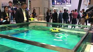 Fifish P3 4K Underwater Drone Diving Demonstration At Ces 2018