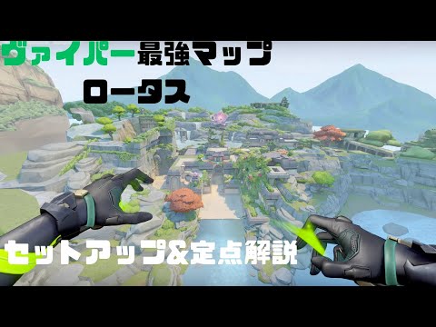 新ロータス】【ヴァイパー】これだけ覚えろ！！ロータスヴァイパーの