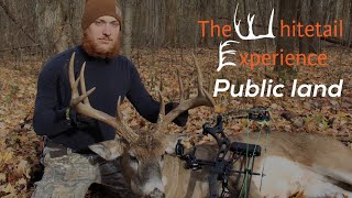 Bowhunting Public Land Ohio Giant Buck