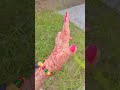 kariyo Na mujhse#ytshorts #love #nailsart #luckytanikistory