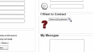 Celebrity fancy dynamic contact form Wealth