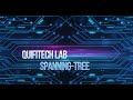 Switching Spanning Tree