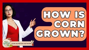 How Is Corn Grown? - Your Nutrition Network