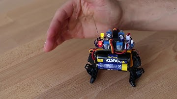 How to play your Bakiwi.