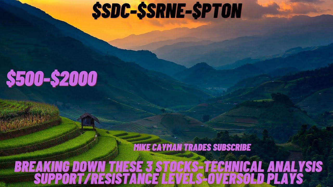 #SDC