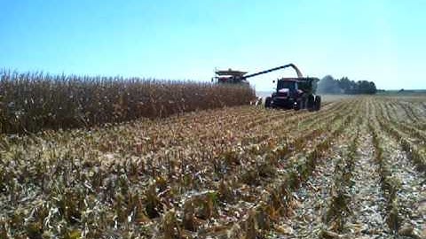 Unloading corn on the go.