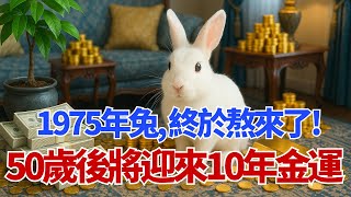 天降祥瑞！1975年屬兔人，熬過今年50歲之後，你將迎來「10年金運」！準備接福！#屬兔 #1975年屬兔 #生肖運程 #生肖 #財運 #偏財運 #乙卯兔 #運勢 #轉運 #貴人 #接財 #招財