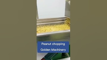 Peanut chopping machine daily working vlog #nuts chopper #dicing machines golden machinery