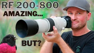 DREAM LENS OR BUST? F9? No Problem!? | What About IMAGE QUALITY? | CANON RF 200-800 REVIEW by Jan Wegener 69,118 views 4 months ago 23 minutes