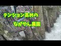 シイタケの原木栽培～初収穫