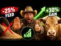 "Feed Less, Gain More: The Feeding Strategy They Don’t Teach"