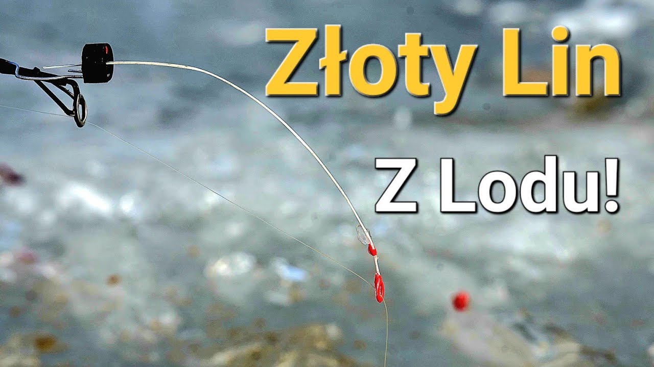 Pierwsze Ryby na Mormyszkę! Lin z Lodu! Piękne łowienie! Wędkarstwo Podlodowe!